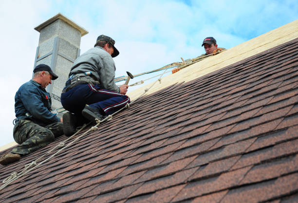 Best Roof Gutter Cleaning  in Burnham, PA
